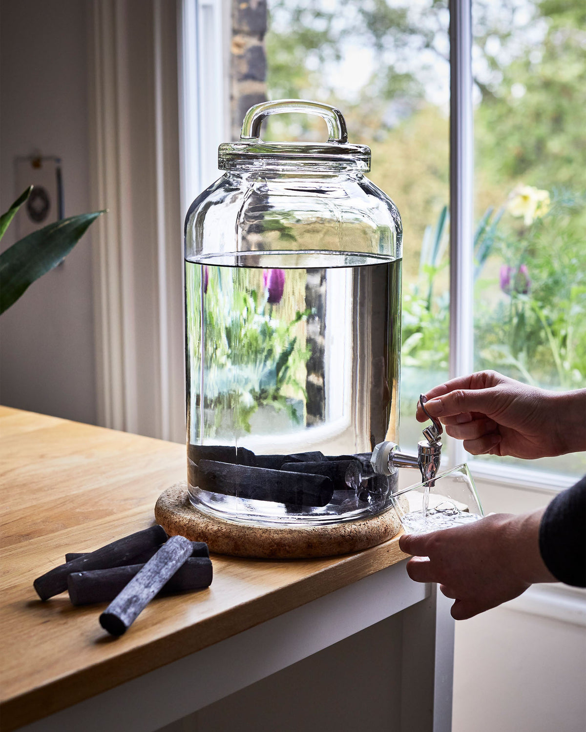 AKTIVKOHLE-WASSERFILTER 4ER-SET - Charcoal Filtration - blickblum.com
